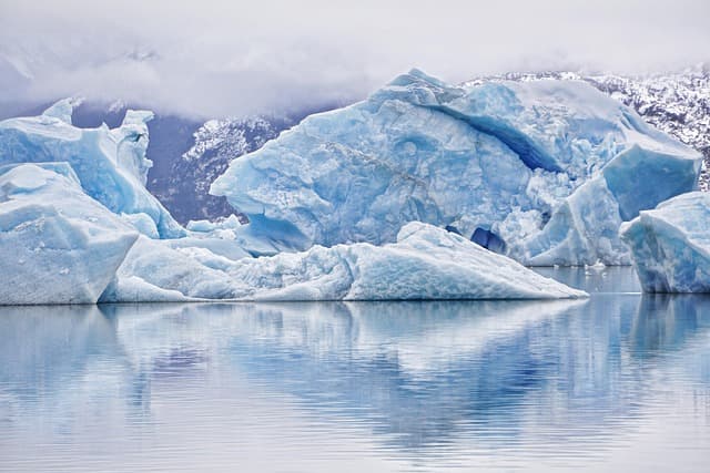Cómo elegir el abrigo perfecto para cada tipo de clima